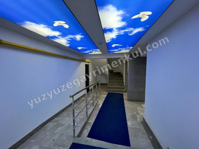 Fotoğraf 19
